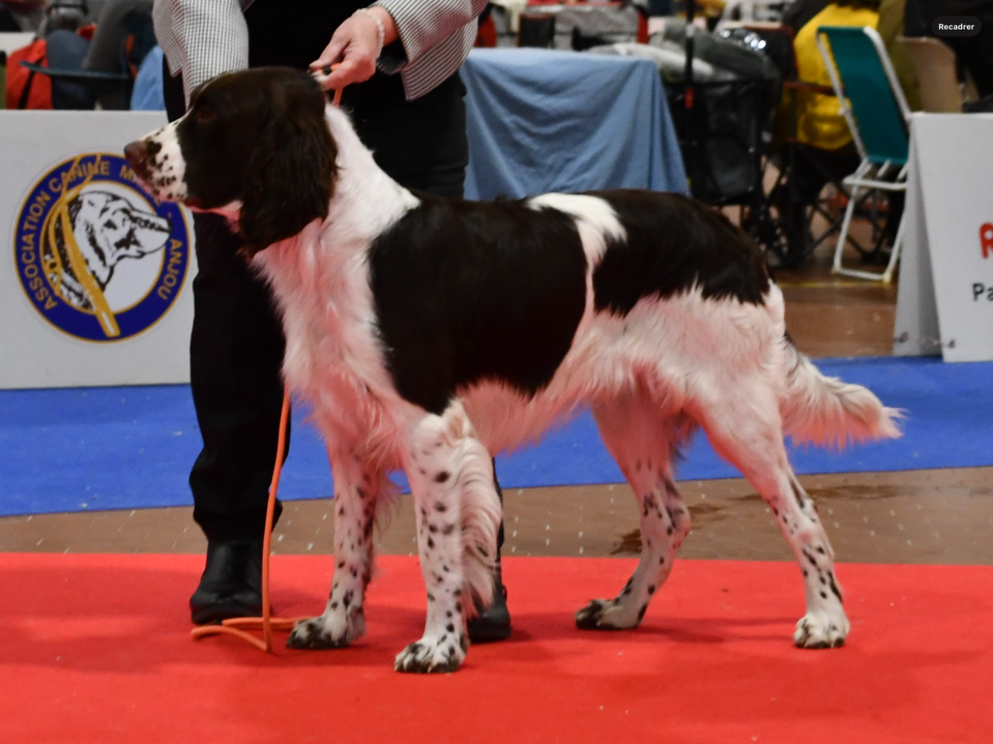 U2 De L Arche D urck Titre Initial